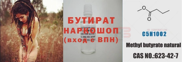 соль ск Дмитриев