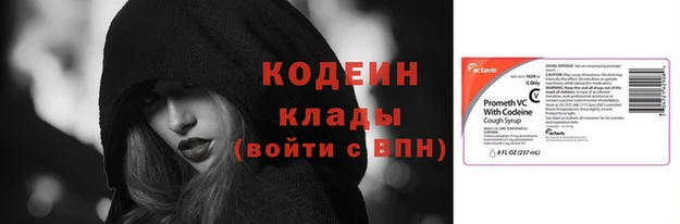 ГАЛЛЮЦИНОГЕННЫЕ ГРИБЫ Гусев