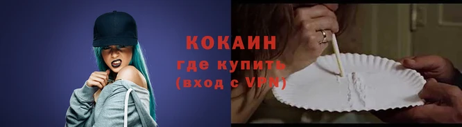 ГАЛЛЮЦИНОГЕННЫЕ ГРИБЫ Гусев