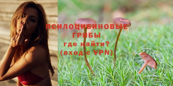 крисы Гусиноозёрск