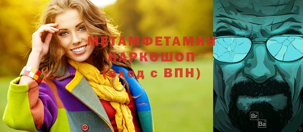 ГАЛЛЮЦИНОГЕННЫЕ ГРИБЫ Гусев