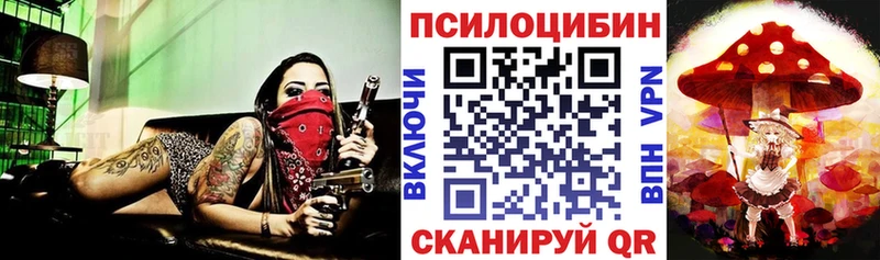 Купить где  Переславль-Залесский  Псилоцибиновые грибы ЛСД 