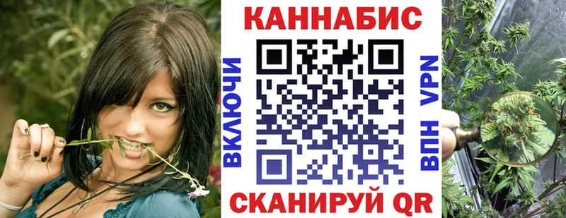 Купить закладки  Переславль-Залесский  Бошки Шишки сатива 